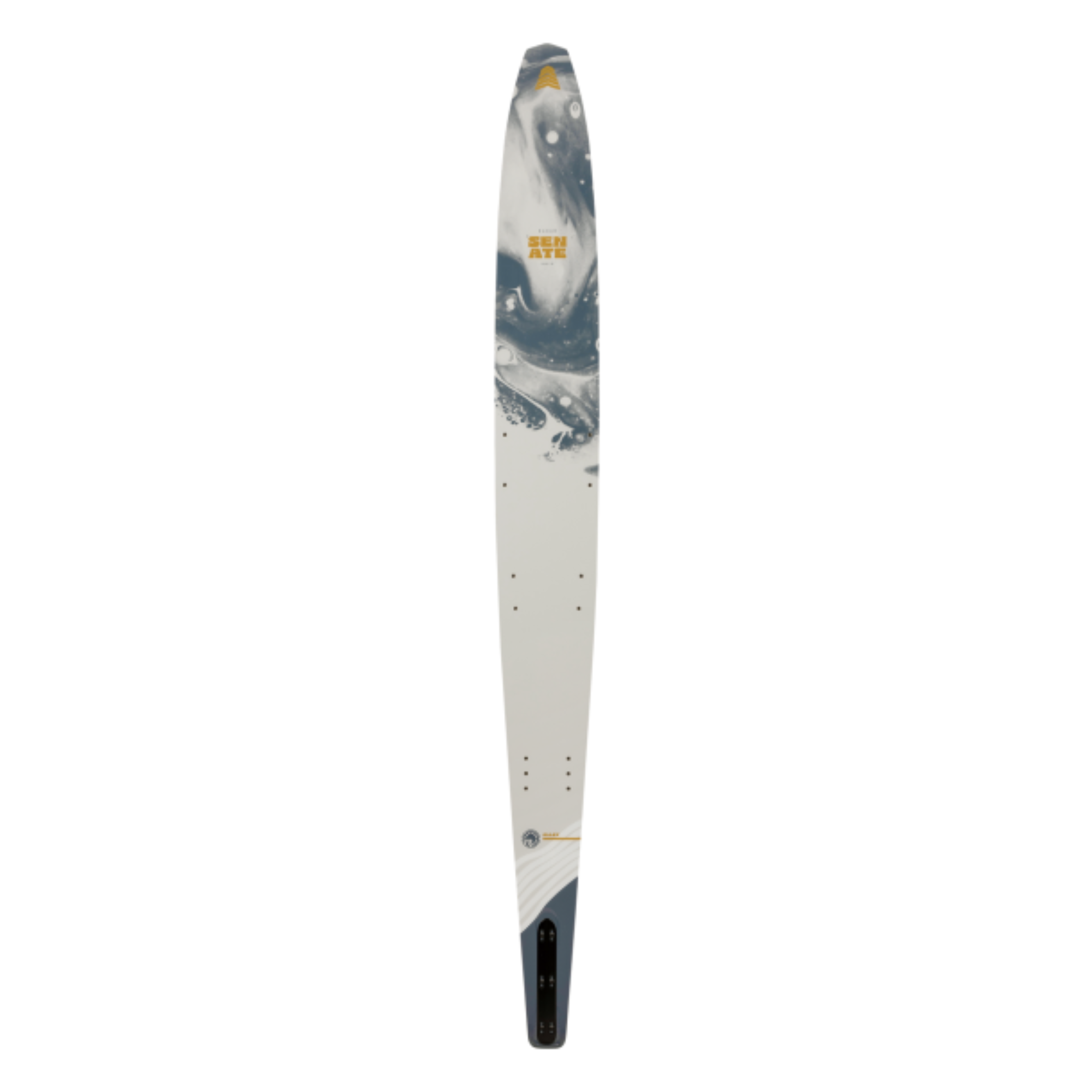 Radar Senate Alloy Slalom Ski - Blank with Fin - 69"